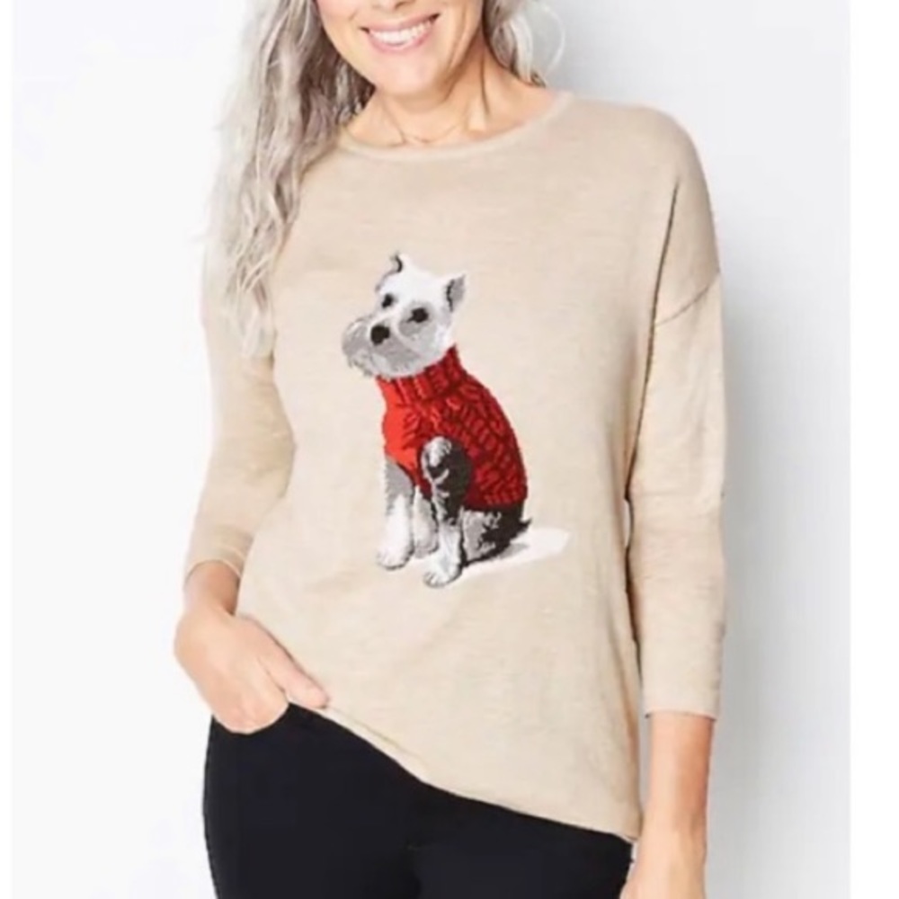 J. Jill SCHNAUZER Crew Neck Sweater • Sz 1X • NWT!